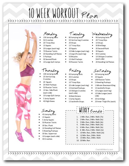 At Home Work Out Plans 10 Week Workout Plan to Insanity Back