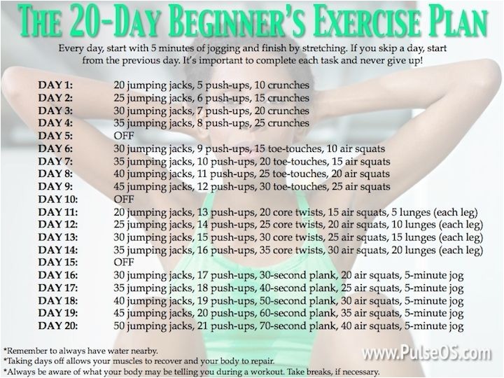 At Home Work Out Plans Fitness Workout Plan for Beginners Workout Pinterest At Home Work Out Plans Fitness Workout Plan for Beginners Workout Pinterest