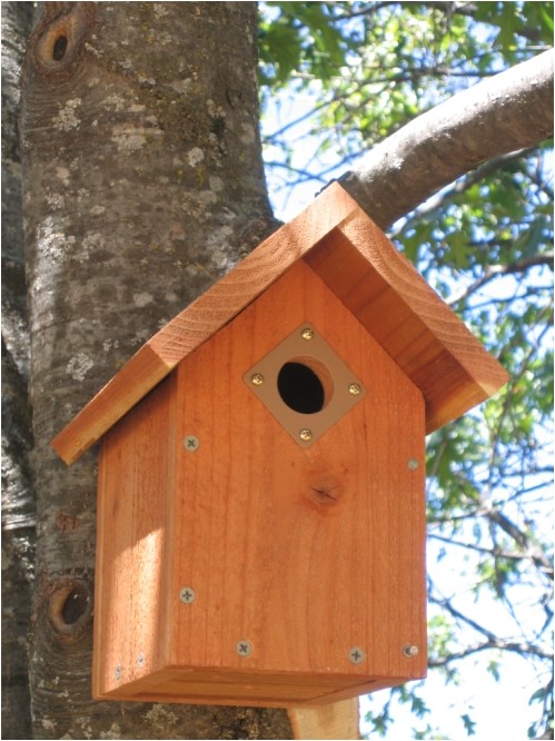 Audubon Bird House Plans Audubon society Bird House Plans House Design Plans Audubon Bird House Plans Audubon society Bird House Plans House Design Plans