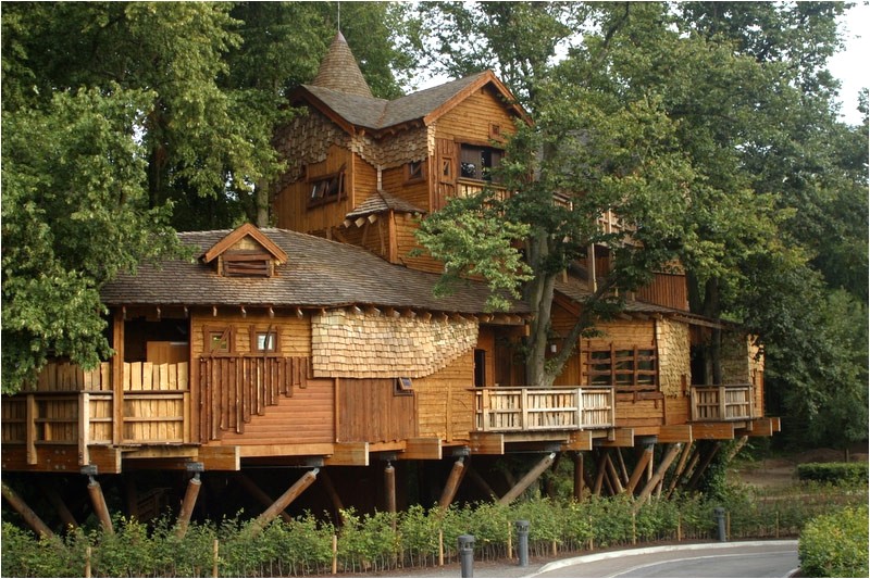Big Tree House Plans What is Glamping Discover Glamping