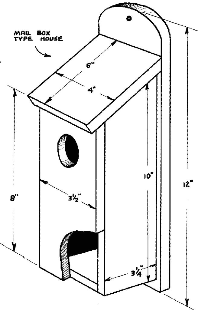 Bird House Plans for Sparrows Bird House Plans for Sparrows Lovely House Sparrow Birds Bird House Plans for Sparrows Bird House Plans for Sparrows Lovely House Sparrow Birds