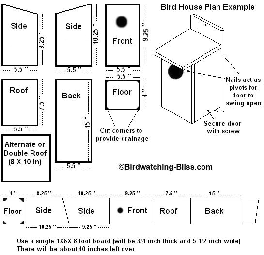 Bird House Plans for Sparrows Bird House Plans Sparrow How to Making Woodwork Pdf