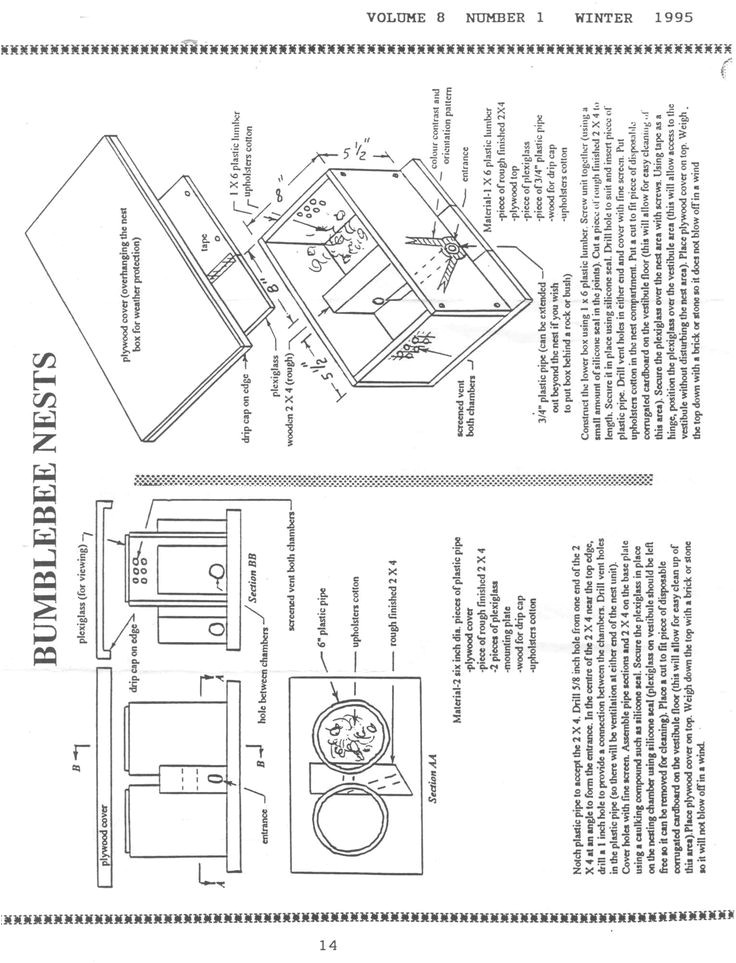 Bumble Bee House Plans Bumble Bee Bombus Nest Box Plan Nature Hymenopteres