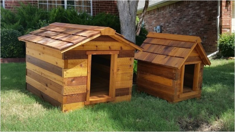 Cedar Dog House Plans 12 Wonderfully Unusual Dog Houses Cedar Dog House Plans 12 Wonderfully Unusual Dog Houses