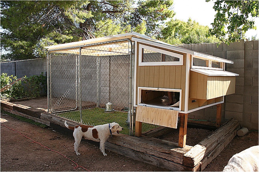 Chicken House Plans for 20 Chickens House Plans Chicken House Plans for 20 Chickens Awesome Chicken House Plans for 20 Chickens House Plans Chicken House Plans for 20 Chickens Awesome