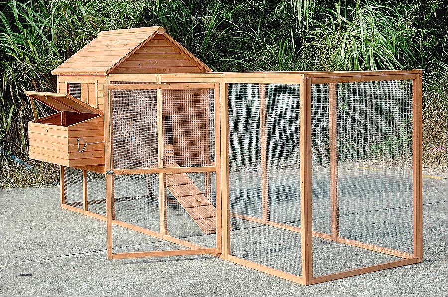 Chicken House Plans for 20 Chickens House Plans Chicken House Plans for 20 Chickens Fresh Chicken House Plans for 20 Chickens House Plans Chicken House Plans for 20 Chickens Fresh