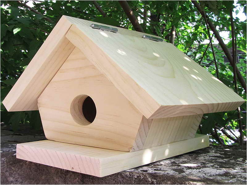 Cool Bird House Plans 11 Cool Bird House Plans Ideas World Homes 3697