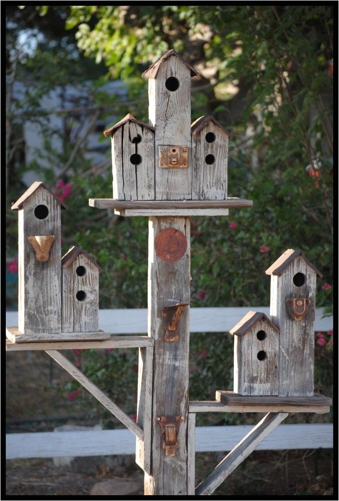Cool Bird House Plans 25 Best Ideas About Birdhouses On Pinterest Building Cool Bird House Plans 25 Best Ideas About Birdhouses On Pinterest Building