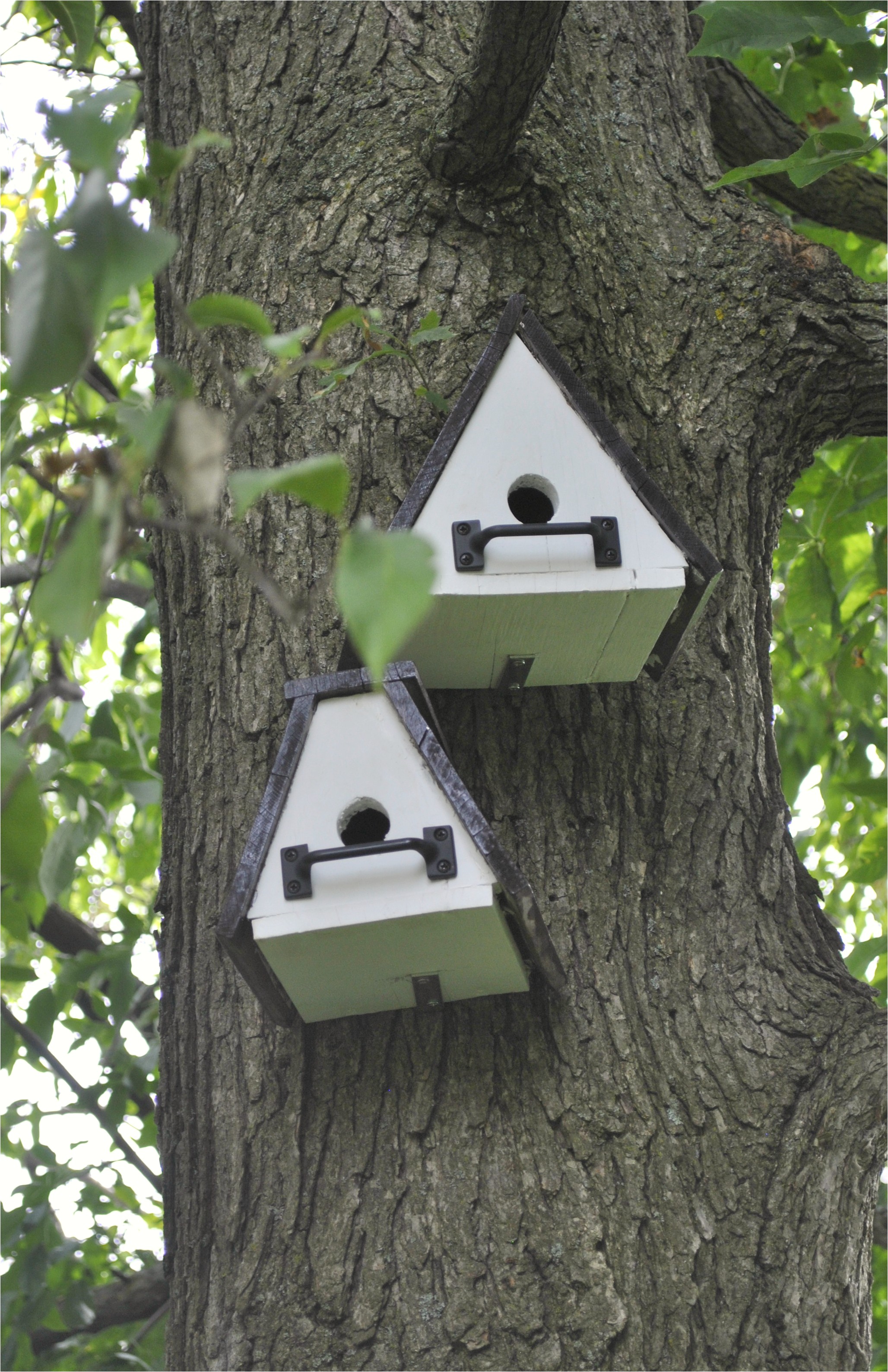 Cool Bird House Plans Cool Bird Houses Cool Bird House Plans Cool Bird Houses