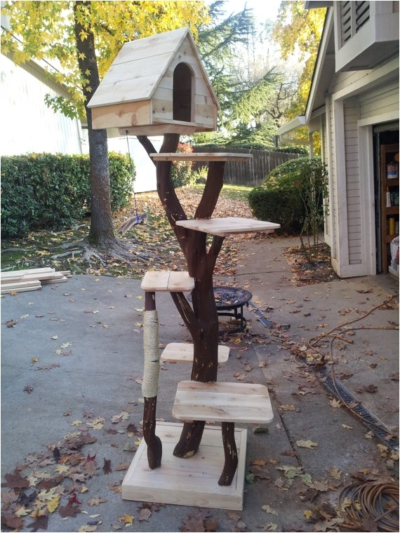 Diy Cat Tree House Plans Awesome Cat Tree Picmia