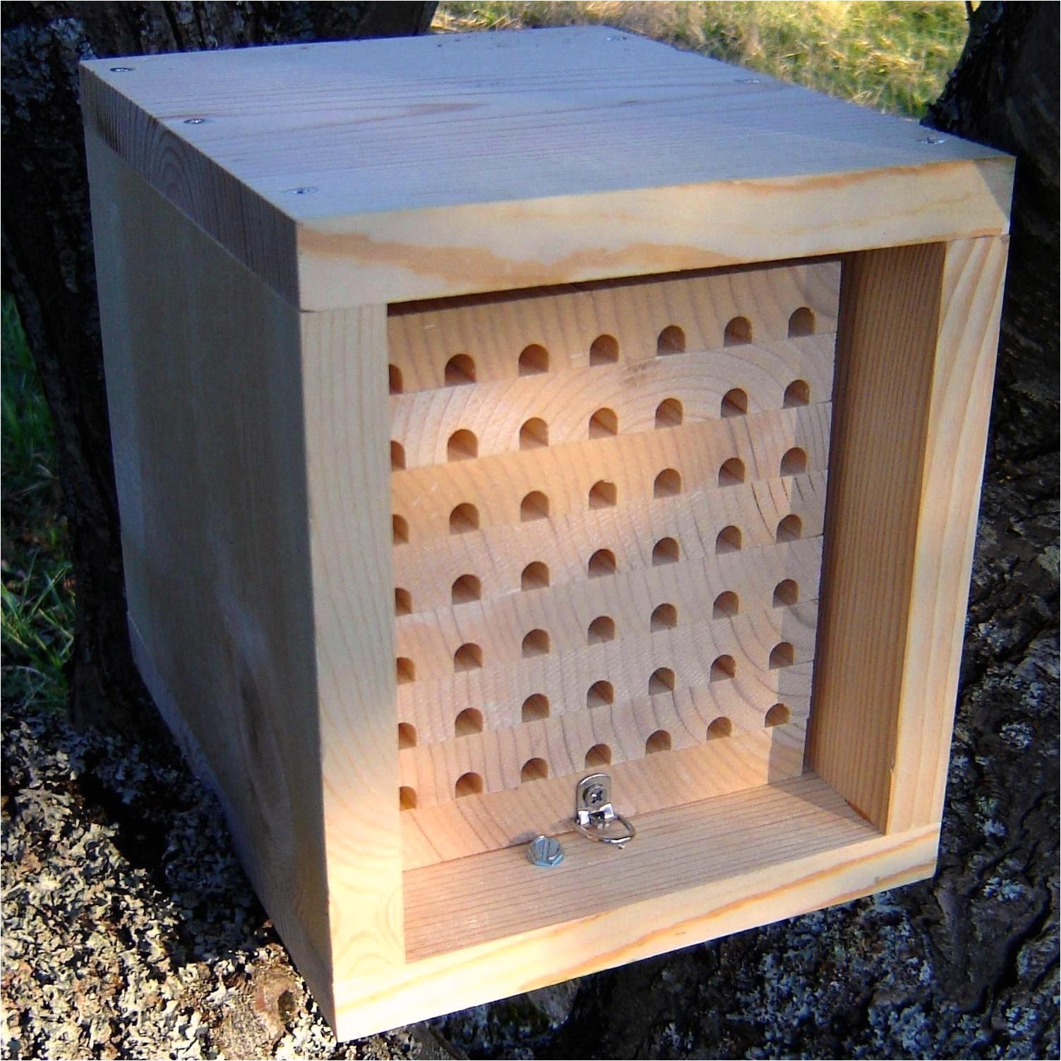 Diy Mason Bee House Plans Green Steps Building A Mason Bee House Three Hundred Diy Mason Bee House Plans Green Steps Building A Mason Bee House Three Hundred