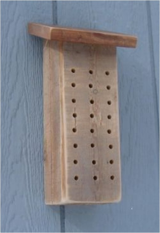 Diy Mason Bee House Plans Mason Bee House Plans How to Make A Bee House Hubpages