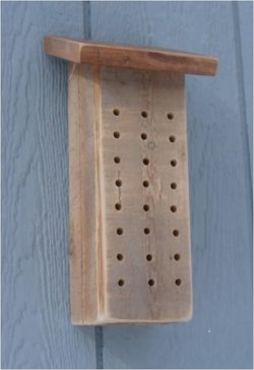 Diy Mason Bee House Plans Mason Bee House Plans How to Make A Bee House Hubpages Diy Mason Bee House Plans Mason Bee House Plans How to Make A Bee House Hubpages