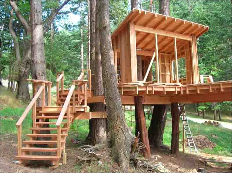 Easy to Build Tree House Plans How to Build A Treehouse In the Backyard Easy to Build Tree House Plans How to Build A Treehouse In the Backyard