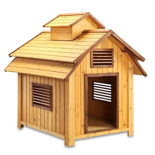 Elevated Dog House Plans Pet Squeak Bird Dog Raised Wooden Dog House Free Elevated Dog House Plans Pet Squeak Bird Dog Raised Wooden Dog House Free