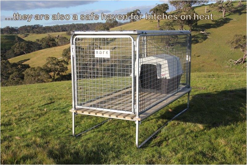 Elevated Dog House Plans the Bark Raised Kennels Elevated Dog House Plans the Bark Raised Kennels