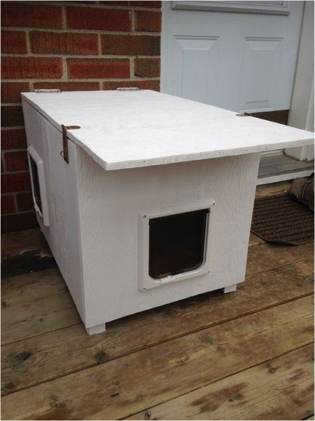 Feral Cat House Plans Free Best 25 Cat House Plans Ideas On Pinterest Outdoor Cat Feral Cat House Plans Free Best 25 Cat House Plans Ideas On Pinterest Outdoor Cat