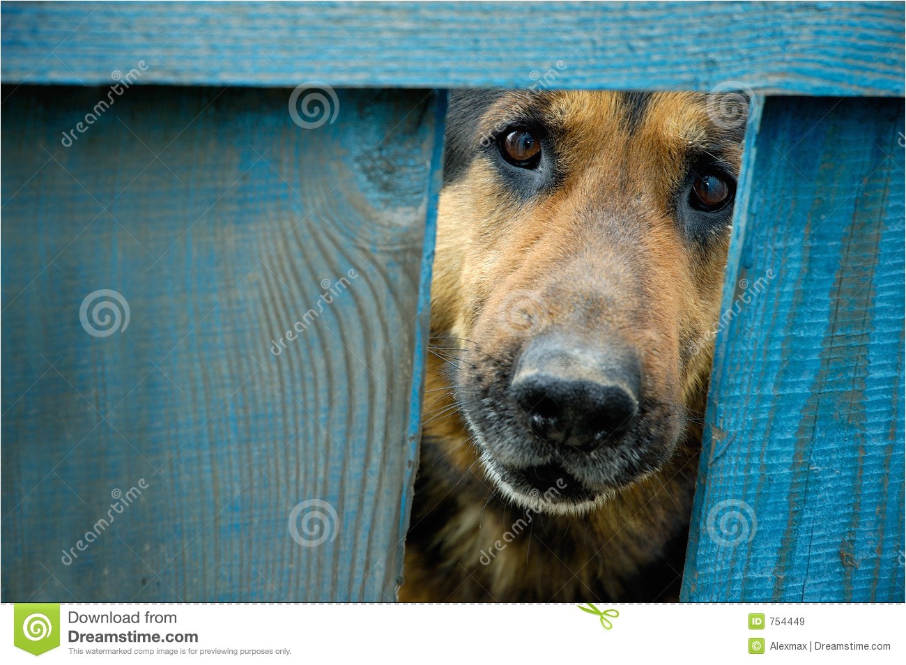 German Shepherd Dog House Plans German Shepherd Dog House Plans About Animals German Shepherd Dog House Plans German Shepherd Dog House Plans About Animals