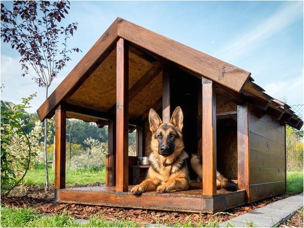 German Shepherd Dog House Plans Pet Talk Building the Ideal Dog House Www Statesman Com