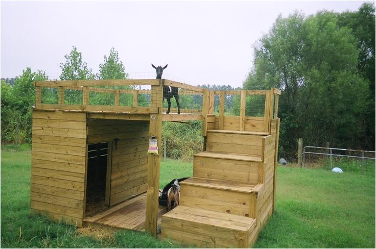 Goat Housing Plans 25 Best Ideas About Goat House On Pinterest Goat Goat Housing Plans 25 Best Ideas About Goat House On Pinterest Goat