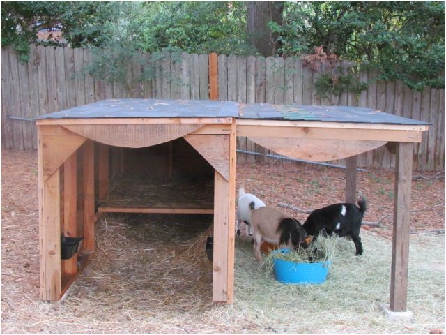 Goat Housing Plans Best 25 Goat Shed Ideas On Pinterest Goat House Goat Goat Housing Plans Best 25 Goat Shed Ideas On Pinterest Goat House Goat
