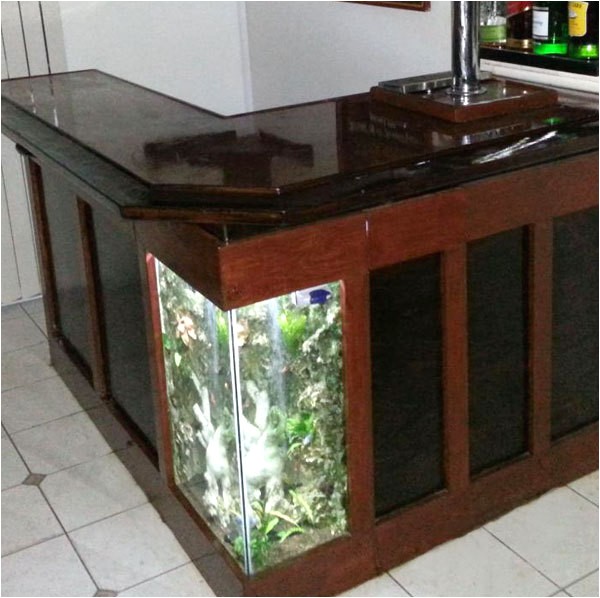 Home Bar Kits and Plans Build Your Own Aquarium Bar American Homebrewers association Home Bar Kits and Plans Build Your Own Aquarium Bar American Homebrewers association