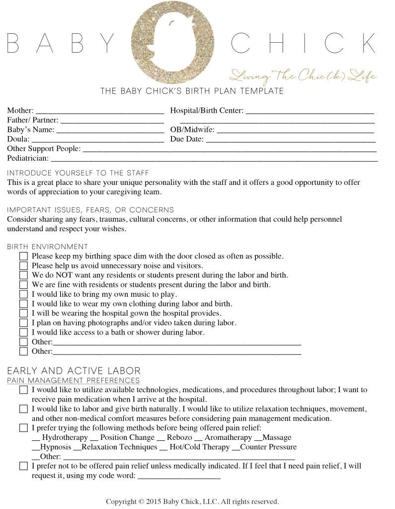 Home Birth Plan How to Create Your Perfect Birth Plan Baby Chick Home Birth Plan How to Create Your Perfect Birth Plan Baby Chick