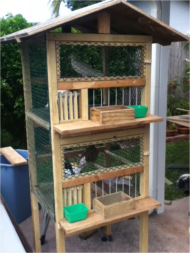 Homing Pigeon Loft Plans 25 Best Ideas About Pigeon Cage On Pinterest Macaw Cage Homing Pigeon Loft Plans 25 Best Ideas About Pigeon Cage On Pinterest Macaw Cage