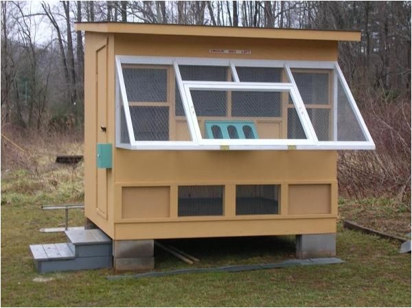 Homing Pigeon Loft Plans Best 25 Pigeon Loft Ideas On Pinterest Racing Pigeon Homing Pigeon Loft Plans Best 25 Pigeon Loft Ideas On Pinterest Racing Pigeon