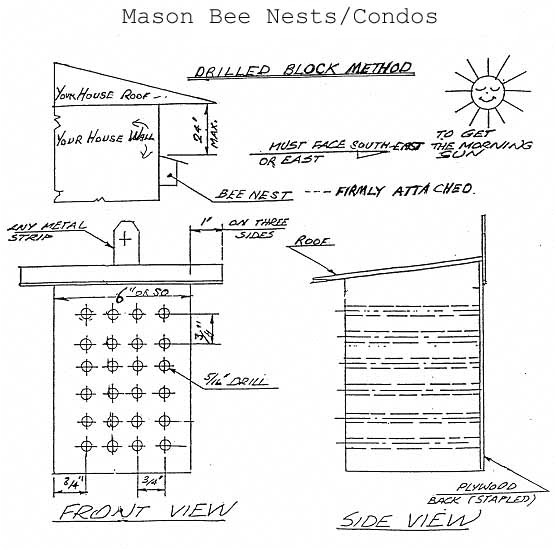 Mason Bee House Plans Mason Bee House Plans 7 Beehousediagram Drawing 5 16 Mason Bee House Plans Mason Bee House Plans 7 Beehousediagram Drawing 5 16