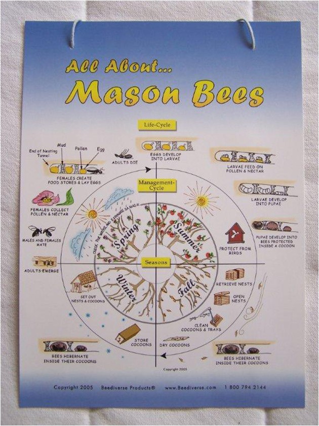 Mason Bee House Plans Mason Bee Nest Plans Mason Bee House Plans Mason Bee Nest Plans