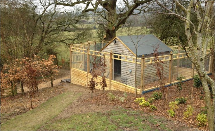 Peacock Housing Plans How to Build A Peacock Enclosure Read How In Our Garden Peacock Housing Plans How to Build A Peacock Enclosure Read How In Our Garden