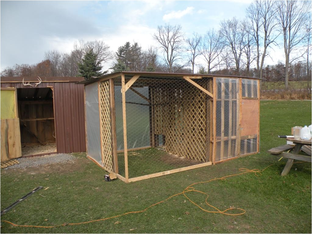 Peacock Housing Plans My New Peacock Pheasant Coop Backyard Chickens Peacock Housing Plans My New Peacock Pheasant Coop Backyard Chickens