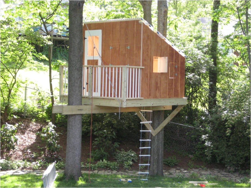 Plans for A Tree House Small Tree House Plans Fresh Small Tree House Plans Tree Plans for A Tree House Small Tree House Plans Fresh Small Tree House Plans Tree