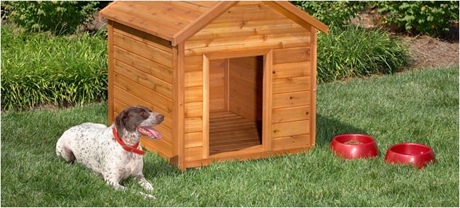 Plans for Building A Dog House 10 Free Dog House Plans Home Design Garden