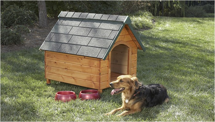 Plans for Building A Dog House Build A Dog House Plans for Building A Dog House Build A Dog House