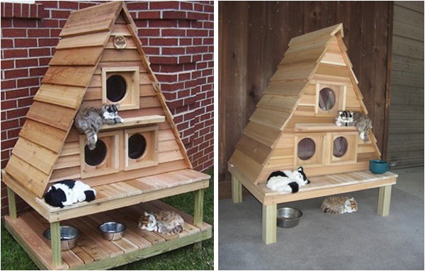 Plans for Cat House 10 Amazing Cat Structures Neatorama Plans for Cat House 10 Amazing Cat Structures Neatorama