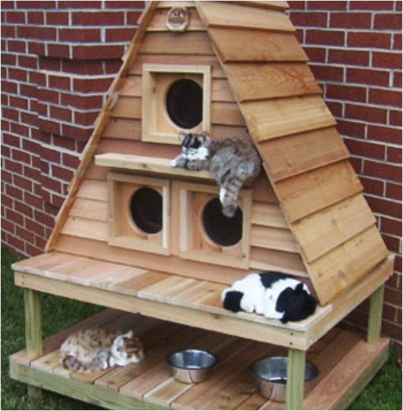 Plans for Cat House Outdoor Cat House Outdoor Cat House Building Plans Plans for Cat House Outdoor Cat House Outdoor Cat House Building Plans