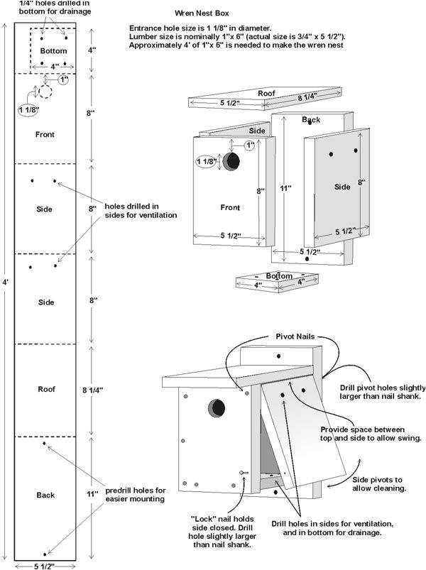 Purple Martin House Plans Hole Size Make A Purple Martin Gourd Birdhouse Birds and Blooms Purple Martin House Plans Hole Size Make A Purple Martin Gourd Birdhouse Birds and Blooms