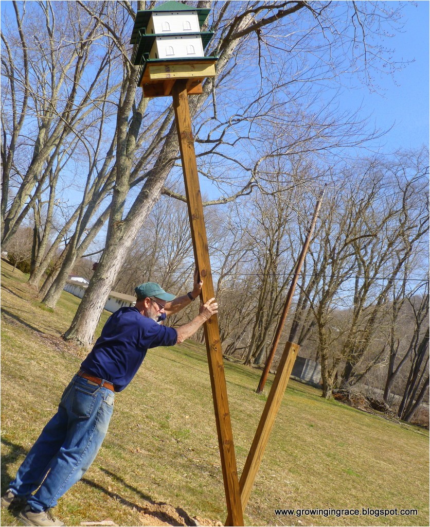 Purple Martin House Pole Plans Growing In Grace Purple Martin House On Swivel Pole Purple Martin House Pole Plans Growing In Grace Purple Martin House On Swivel Pole