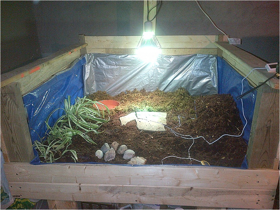 Tortoise House Plans House Plans tortoise House Plans Inspirational 40 Quot Lx40 Tortoise House Plans House Plans tortoise House Plans Inspirational 40 Quot Lx40