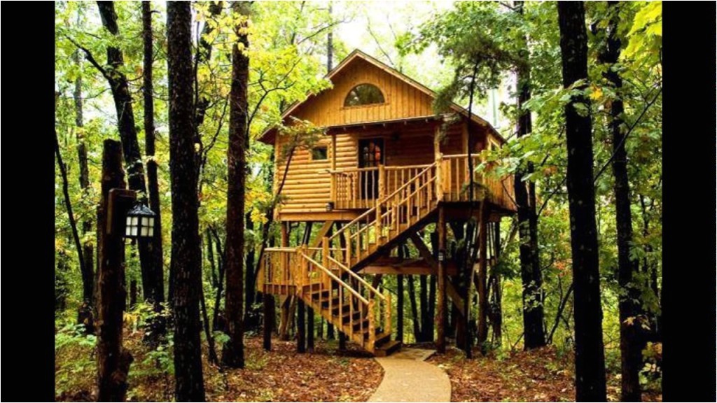 Tree House Plans for Sale Livable Tree Houses for Sale for Adults Best House Design Tree House Plans for Sale Livable Tree Houses for Sale for Adults Best House Design