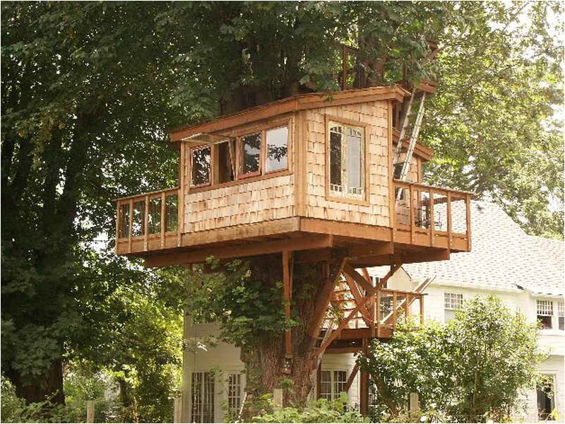Tree House Plans for Sale Outdoor Fantastic Treehouse Plans Awesome Treehouse Tree House Plans for Sale Outdoor Fantastic Treehouse Plans Awesome Treehouse