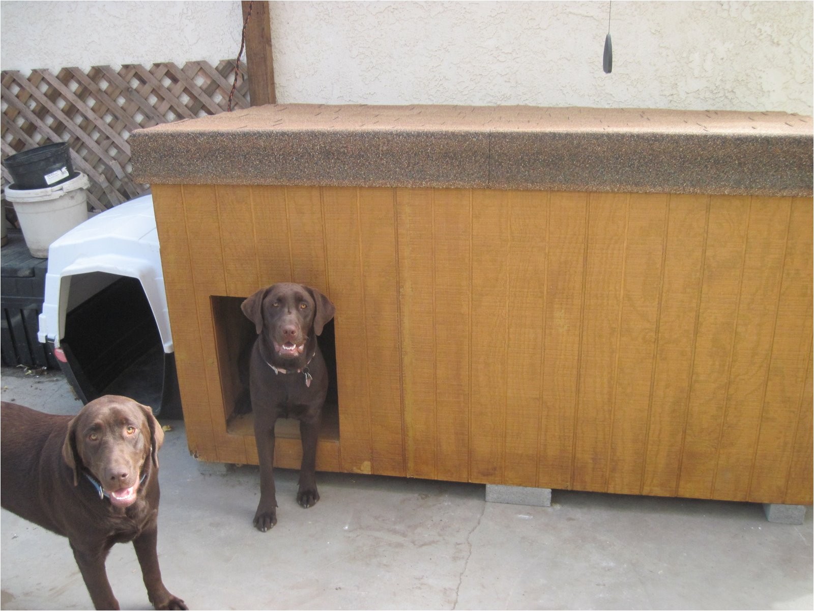 Winter Dog House Plans Surprising Winter Dog House Plans Gallery Best Winter Dog House Plans Surprising Winter Dog House Plans Gallery Best