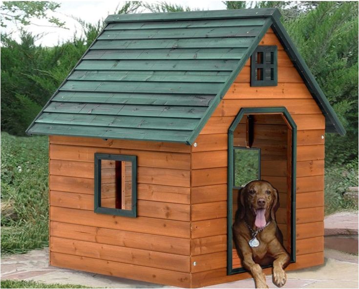 X Large Dog House Plans 1000 Ideas About Extra Large Dog Kennel On Pinterest X Large Dog House Plans 1000 Ideas About Extra Large Dog Kennel On Pinterest