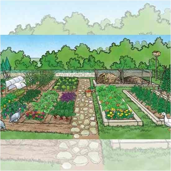 Better Homes and Gardens Plan A Garden 25 New Better Homes and Gardens Plan A Garden Spaceftw Com Better Homes and Gardens Plan A Garden 25 New Better Homes and Gardens Plan A Garden Spaceftw Com
