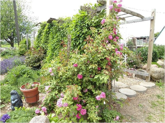 Better Homes and Gardens Plan A Garden Better Homes and Garden Playhouse Plans House Design Plans Better Homes and Gardens Plan A Garden Better Homes and Garden Playhouse Plans House Design Plans