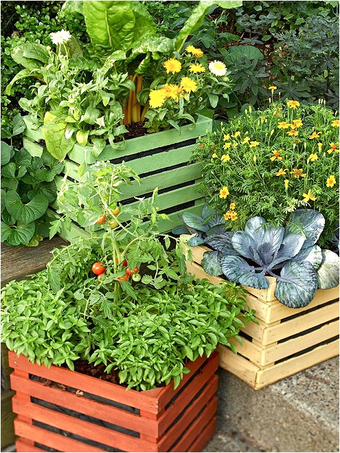 Better Homes and Gardens Plan A Garden Nail Blog Easy to Better Home and Garden Shed Plans