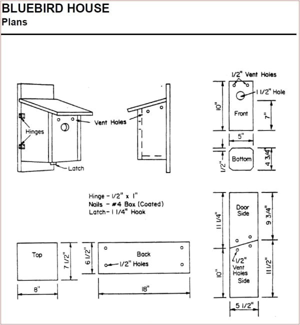 Bird House Plans for Bluebirds Bluebird House Plans Ohio Woodworktips Bird House Plans for Bluebirds Bluebird House Plans Ohio Woodworktips