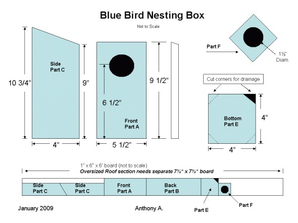 Bird House Plans for Bluebirds How to Build Simple Bluebird House Plans Pdf Plans Bird House Plans for Bluebirds How to Build Simple Bluebird House Plans Pdf Plans